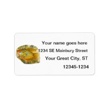 Golden Gourami Side View Saturated Aquarium Fish Custom Address Labels