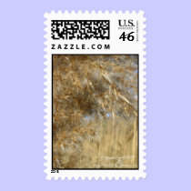 Golden Grasses Postage stamps