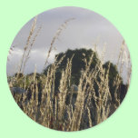 Golden Grasses stickers