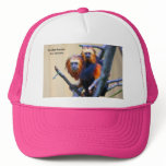 Golden Headed Lion Tamarin Hats