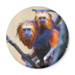 Golden Headed Lion Tamarin Magnet