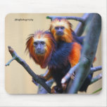 Golden Headed Lion Tamarin mousepads