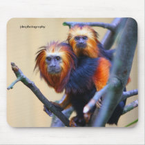 Golden Headed Lion Tamarin mousepads by jdmphotography Golden Headed Lion Tamarin mousepads