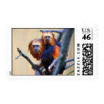 Golden Headed Lion Tamarin postage
