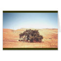 golden hills & blue skies cards