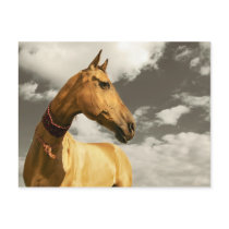 Golden horse of Turkmenistan Post Card