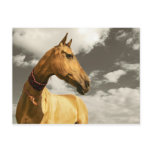 Golden horse of Turkmenistan Post Card