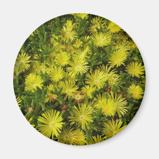 Golden Ice Flowers Magnet