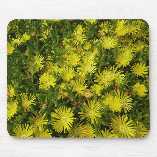 Golden Ice Flowers Mousepad