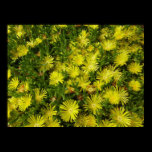 Golden Ice Flowers Poster Print