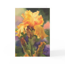 Golden Iris cards