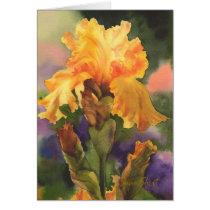 Golden Iris cards
