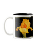 Golden Iris mugs