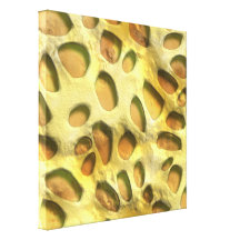 Golden Jungle Print Gallery Wrap Canvas