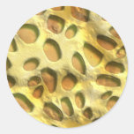 Golden Jungle Print Round Sticker