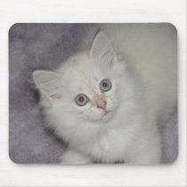 Golden Kitten Mousepad mousepads