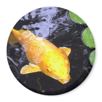 Golden Koi Fish Fridge Magnet