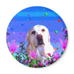 Golden Lab Magnets