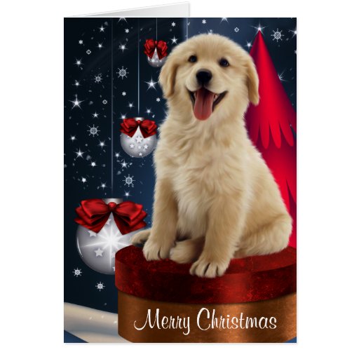 http://rlv.zcache.com/golden_labrador_retriever_christmas_cards-re1de2437e46b46008335271066d87dc6_xvuat_8byvr_512.jpg