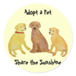 Golden Labrador Retrievers Pet AdoptionStickers