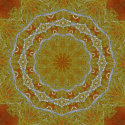 Golden Lace Mandala print