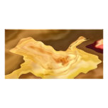 Golden Leaf -  Gold Color Therapy Art photo cards