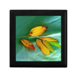 Golden Leaves gift boxes