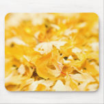 Golden Leaves usepad