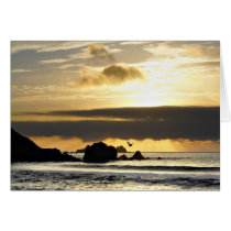 Golden light cards