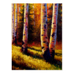 Golden Light Post Card