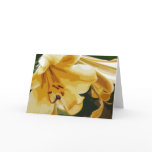 Golden Lillies