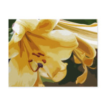 Golden Lillies postcards by londie Golden Lillies postcards