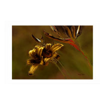 "GOLDEN LILLIES" PRINT by COREY__FORD "GOLDEN LILLIES" PRINT