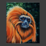 Golden Lion Tamarin - Canvas Print