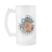 Golden Lion Tamarin Frosted Beer Mug