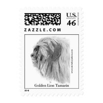 Golden Lion Tamarin Stamps
