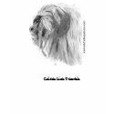 Golden Lion Tamarin t-shirts