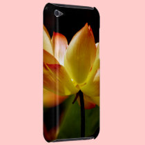 Golden Lotus casemate cases
