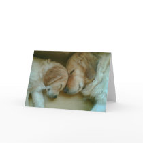 Golden Love Greeting Card