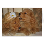 Golden Love for Anniversary Greeting Cards