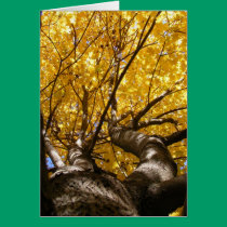 Golden Maple ~ card