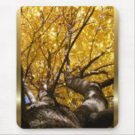 Golden Maple ~ mousepad