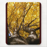 Golden Maple ~ mousepad