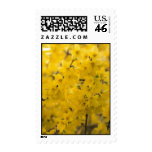 Golden Memories Stamp