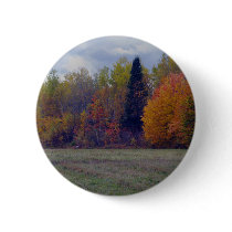 Golden, Orange and Yellows Oh My ! buttons