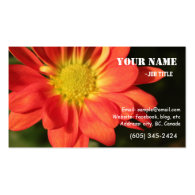 Golden,orange color daisy flowers. business card