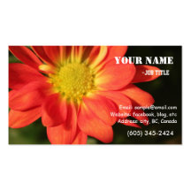 Golden,orange color daisy flowers. business card template