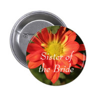 Golden,orange color daisy flowers. pin