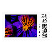 Golden Pansy postage