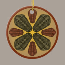 Golden Paraceraurus fossil trilobite wheel ornaments